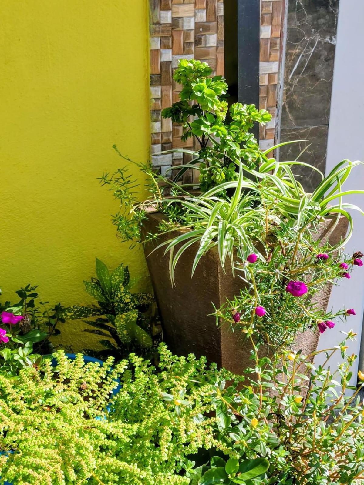 Hospedagem Encantos Da Serra Itatiaia  Kültér fotó